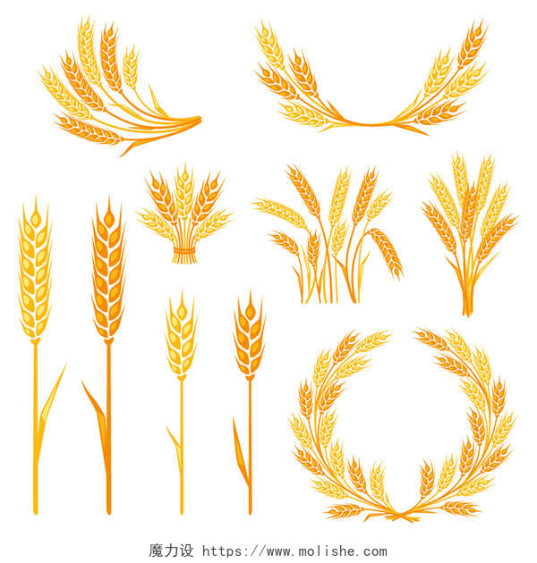 九月你好立秋秋天秋分黄色大麦麦穗农作物劳动png透明素材